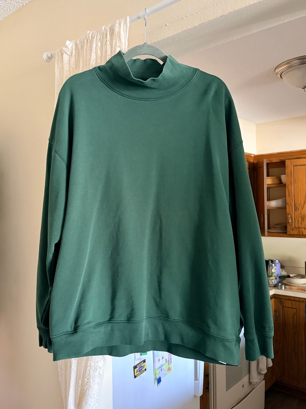 Levi Men's Dark Green Mock Neck Sweatshirt